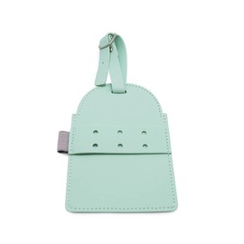 Golf Tee Holder Belt Hanger Bag Tag Charm Organizer - Tee Keeper Storage Accessories Golf Gifts for Golfer (Mint)