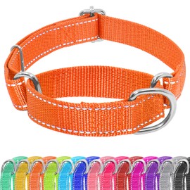 Seyezo Seyezo Martingale Dog Collar, Slip Martingale Collar with No Buckle, Adjustable Pet Trainning Collar for Small Medium Large Dogs, Reflective Heavy Duty Nylon No Pull Martingale Collar, S, Orange