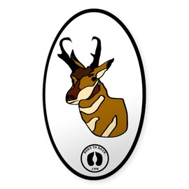 CafePress Pronghorn Sticker Oval Car Bumper Sticker