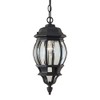 Forte Lighting 1702-01 Outdoor Pendant from The Exterior Lighting Collection,