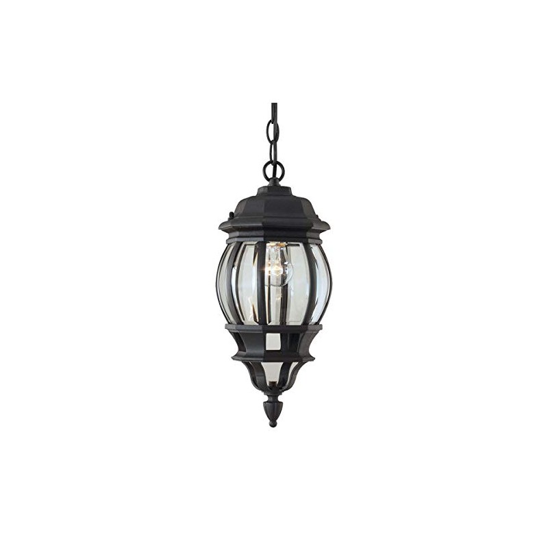 Forte Lighting 1702-01 Outdoor Pendant from The Exterior Lighting Collection,