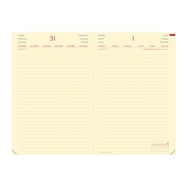 DAILY 24 VZ Silk schwarz 2025: Kalender im Schreibtischformat