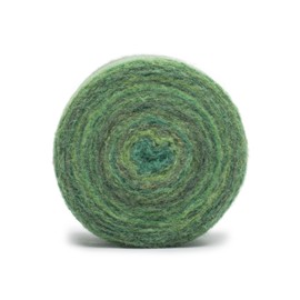 Caron Colorama Haze Moss Bed 2 Pack of 227g Yarn