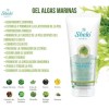 Hielo Mineral Gel Reafirmante D Alga Marinas Sheló S060+s090