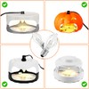 Flea Traps with Sticky Pads and Bulb Replacement- 16 Packs