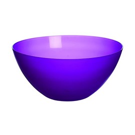 Excèlsa Rainbow Purple Transparent Salad Bowl, 24 cm