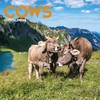 Calendar 2025 Cows