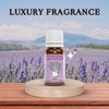 Aroma Depot Essential Oil 10ml Lavender Scented Oil I Premium
