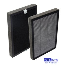 PUREBURG Replaccement Filter Compatible with Airversa Purelle AP2 Air Purifier, 2-Pack (4 Filters) H13 HEPA Activated Carbon 2-in-1 3-Stage Filtration