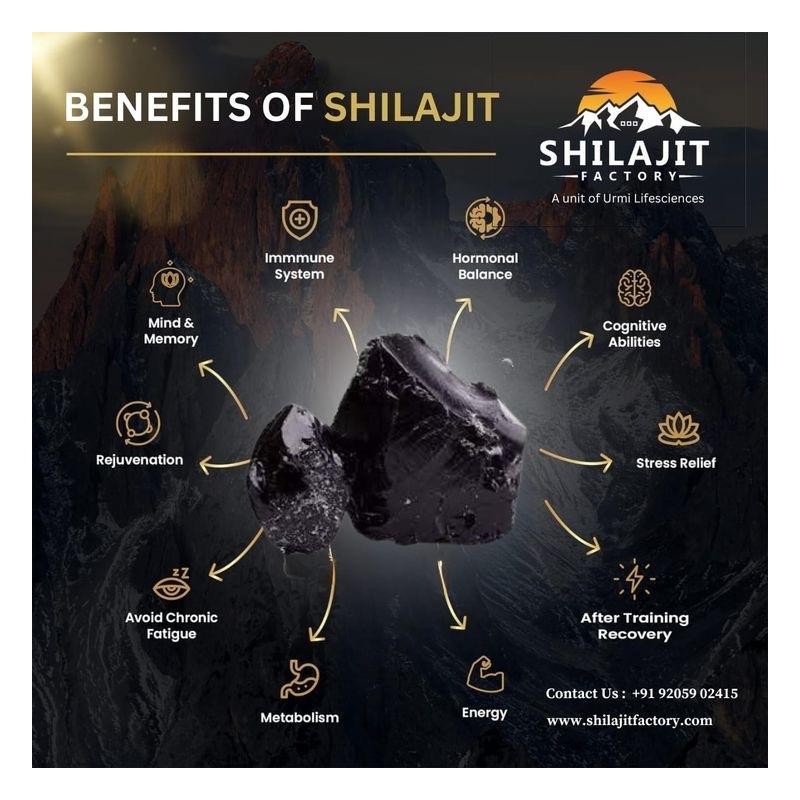 Premium Hemalyan Shilajit Edible Supplement