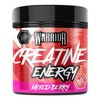 Warrior Creatine Monohydrate Powder + Energy 360g (80 Servings) –