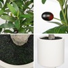 Hollyone Faux Olive Tree 6.7FT Tall Artificial Tree in Pot