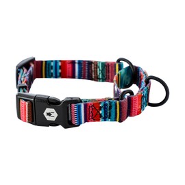 Wolfgang Heavy Duty Martingale Dog Collar with Quick Release Nylon Buckle for Walking & Training, Quetzal Print, Medium