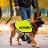 In Training Please Don't Approach/Ask Before Petting Me Dog Jacket