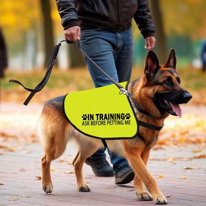 In Training Please Don't Approach/Ask Before Petting Me Dog Jacket
