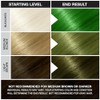 JEROME RUSSELL - PUNKY COLOUR SEMI-PERMANENT COLOUR CREAM - #1438