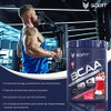 Scifit | Aminoácidos BCAA | 6 g de BCAA 2:1:1