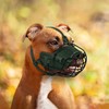 OOPSDOGGY Metal Pitbull Dog Muzzle Reflective Leather Mask Secure Wire