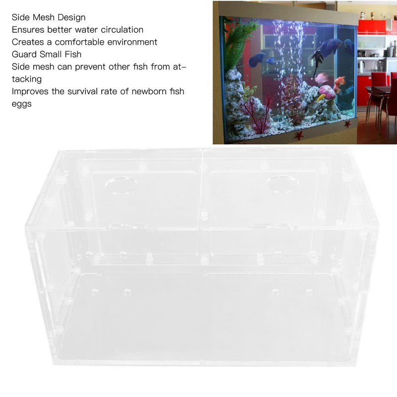Fish Breeding Isolation Box Transparent Mesh Side Fish Tank Incubator