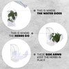 Il Pregio Fresh Herb Keeper and Storage Container - Premium