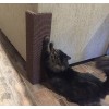 Sofa-Scratcher Squared Cat Scratching Post & Couch Corner Protector -