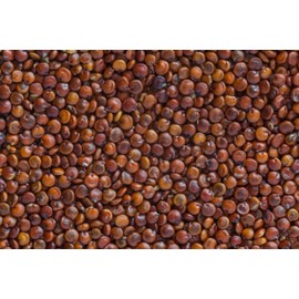 Fresh Red Quinoa By RawJoy | Organic Fresh Red Quinoa Beans, 10 Pound