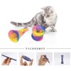 LKCCTK 20pcs Cat Spring Tubes Colorful Spring Toys for Lack