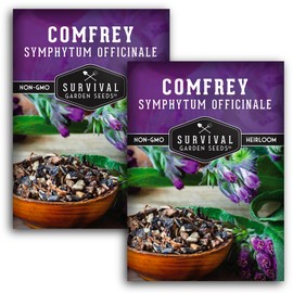 Survival Garden Seeds Comfrey Seed for Planting - 2 Packets with Instructions to Plant and Grow Slippery Root Plants in Your Home Herb Garden - Symphytum officinale - Non-GMO Heirloom Seed Variety