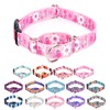 Moonpet Martingale Collar for Dogs Adjustable Soft Durable Dog Collar