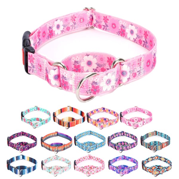 Moonpet Martingale Collar for Dogs Adjustable Soft Durable Dog Collar