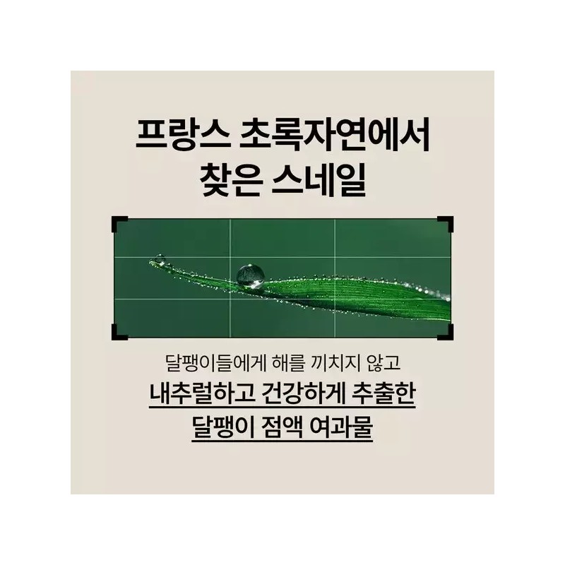 Nature Republic [네이처리퍼블릭][미백·주름개선] 스네일 솔루션 2종 기획세트 Nature Republic [Whitening