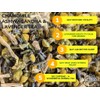 Better Food Mood Sleep Tea Chamomile Ashwagandha & Lavender Loose