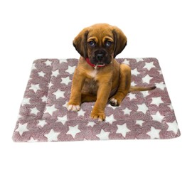 iMaylex Soft Pad Dog Bed Mat, Thicken Warm, Star Pattern, Reversible, Fluffy Pet Dog Sleeping Mattress, Cameo Brown, Small