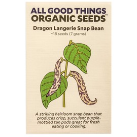 Dragon Langerie Snap Bean Seeds (~18): Certified Organic, Non-GMO, Heirloom, Open Pollinated Seeds from The United States