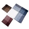 emlstyle Men's Handkerchiefs 100% Cotton Handkerchief with Check Pattern, Style