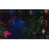 Rollo para Laminado Térmico Holografico Mariposas 30cm x 25m