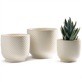4 + 5 + 6 Inch Ceramic Pots for Indoor Plants, Succulents Plant Pots, Orchid Flower Pot with Drainage Hole, Modern Clay Stoneware Planters, Set of 3 (Milk White, 4+5+6 Inch)