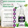 Peppermint Oil Insect & Spider Repellent Spray - All-Natural, Pet-Safe
