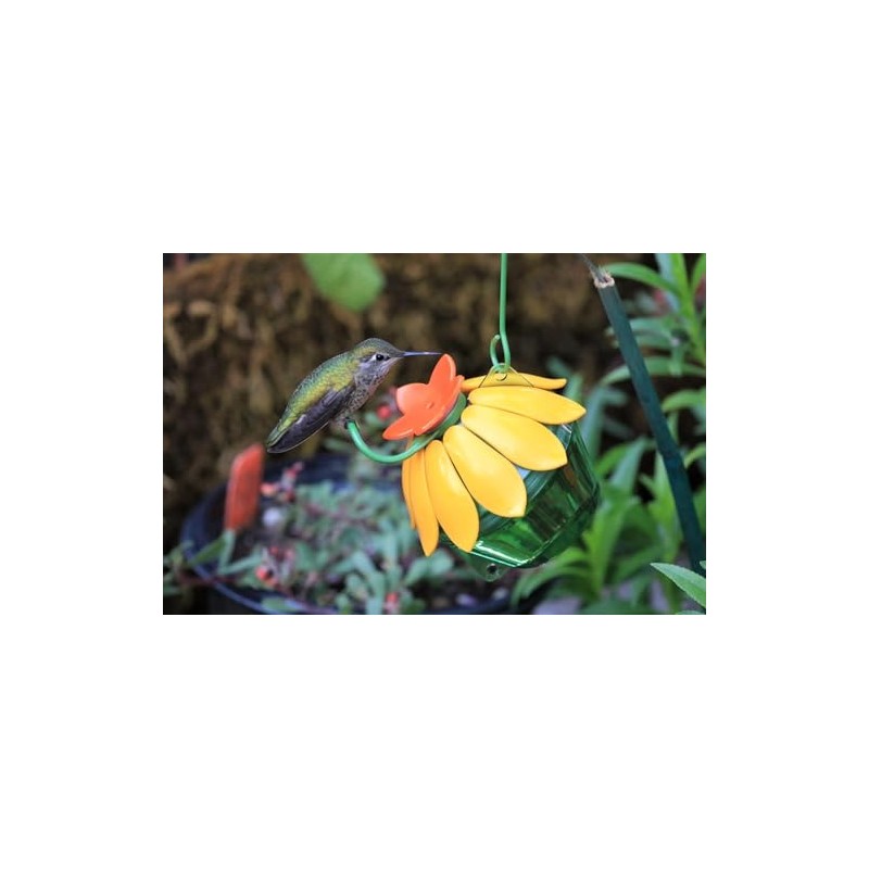 Wild Wings WWSFHF5 So Real Single Flower Hummingbird Feeder, Red/Yellow