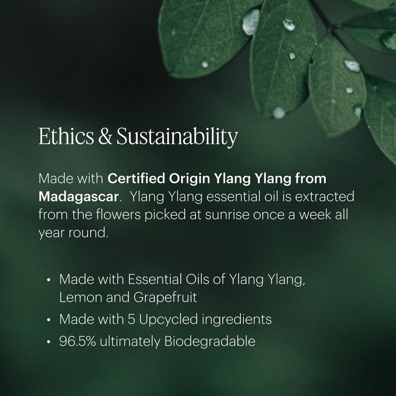 Aera Vibrance - Essential Oil for Home - Lively and