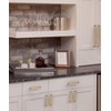 Amerdeco 10 Pack Champagne Bronze Cabinet Pulls 6.3 Inch(160mm) Hole