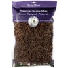 SuperMoss (26972) Spanish Moss Preserved, Coffee, 8oz (200 cubic inch)
