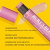 Burt's Bees - Brillo labial hidratante 100% natural, fresa, 1