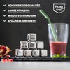 bremermann Ice Cube Set 10 Pieces // 8x Stainless Steel