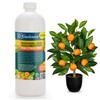 𝐏𝐑𝐎𝐅𝐄𝐒𝐒𝐈𝐎𝐍𝐀𝐋 Liquid Silica Plant Supplement - 32oz - Citrus Trees