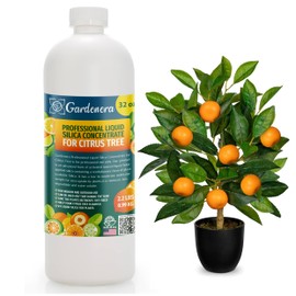 𝐏𝐑𝐎𝐅𝐄𝐒𝐒𝐈𝐎𝐍𝐀𝐋 Liquid Silica Plant Supplement - 32oz - Citrus Trees Liquid Silica Boost Fertilizer - Stronger Stems & Healthy Leaves for Indoor & Outdoor Citrus Plants (Makes 180 Gallons)