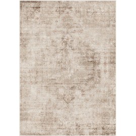 Abstract Area Rug for Living Room - 5x7 Washable Rug for Large Entryway, Mudroom, Home Office, Neatral Modern Contemporary & Non Skid Thin Décor