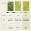 Jade Leaf Matcha Culinary (100 g)