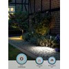 LEONLITE 2CCT Solar Landscape Pathway Lights Outdoor, 50/100% Dimmable, Auto