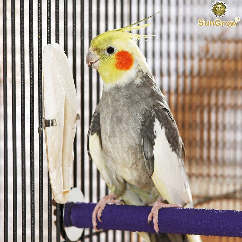 SunGrow Cuttlefish Bones for Cockatiels, 6 Inches, Cage Holder Included,